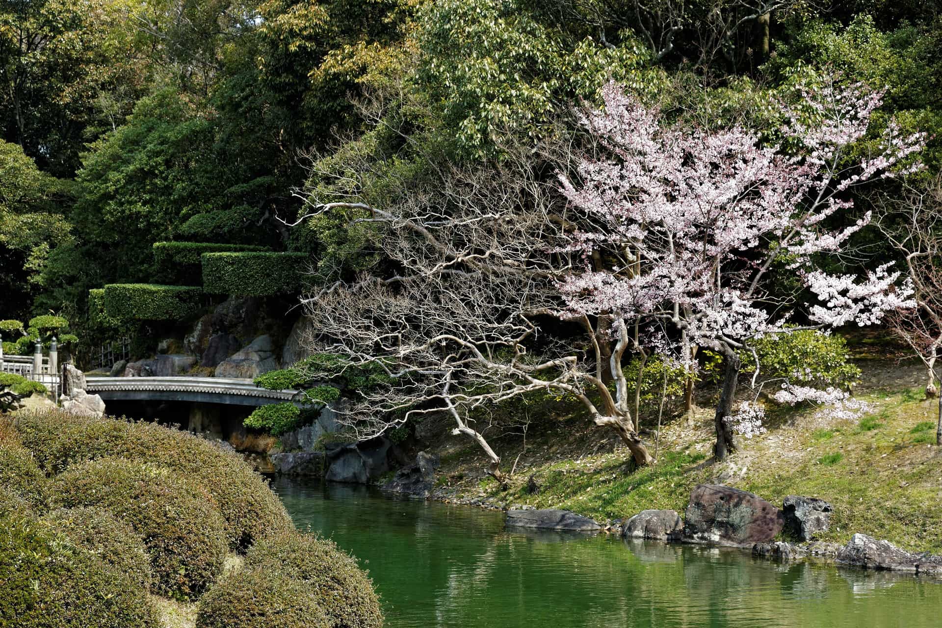 高松栗林公園的池水與松樹庭園