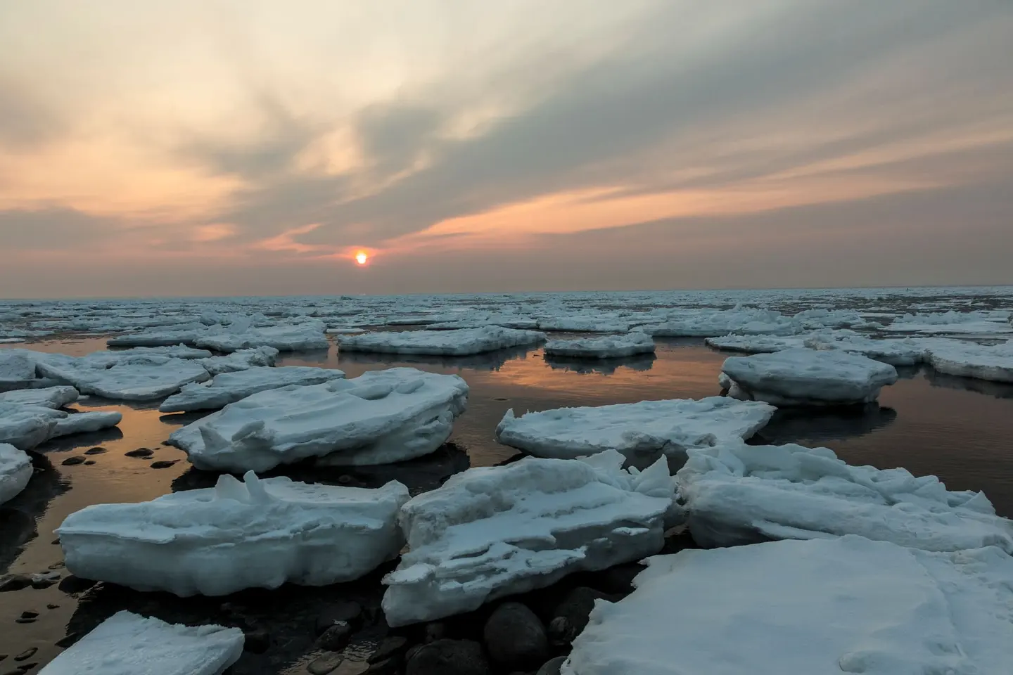知床海岸的晚冬流冰與夕陽，冰層向遠處延伸